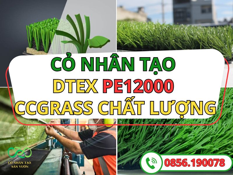 Cỏ nhân tạo DTEX PE12000 và 4 model cỏ ccgrass cao cấp
