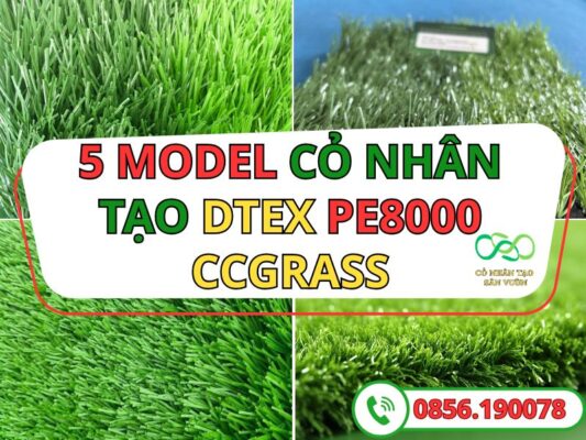 Top 5 model cỏ nhân tạo DTEX 8000 độ bền cao của CCGRASS