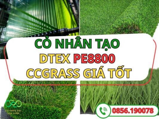 Cỏ nhân tạo DTEX 8800 và 4 model cao cấp