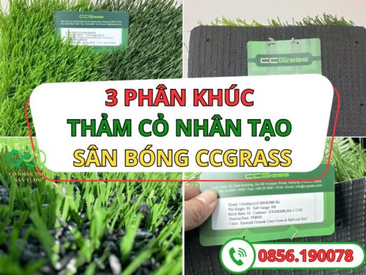 Thảm cỏ nhân tạo sân bóng đá CCGRASS