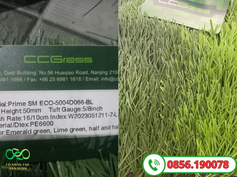 Model Prime SM ECO-5004D66-BL giá rẻ hãng CCGRASS