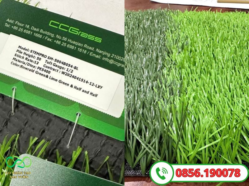 Dòng cỏ STEMPRO giá chỉ <100K