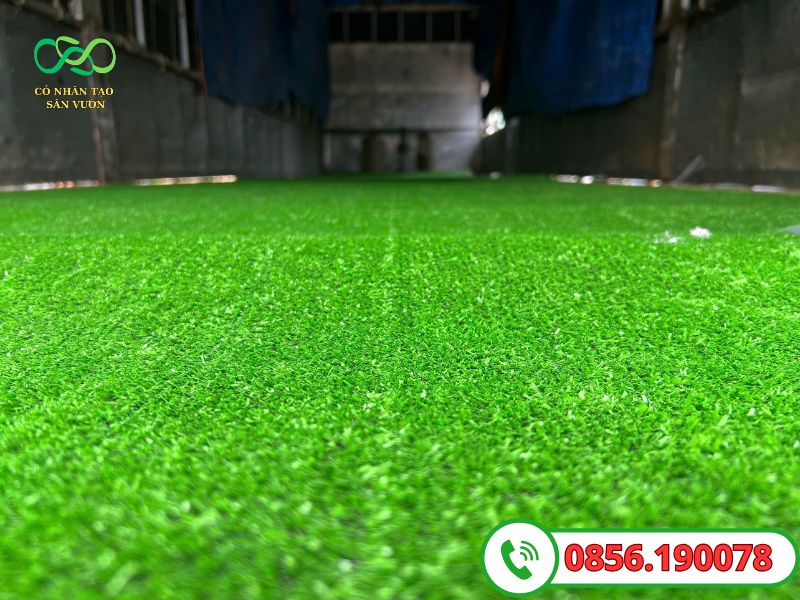Thảm cỏ nhân tạo 1cm chuyên dùng trải sàn