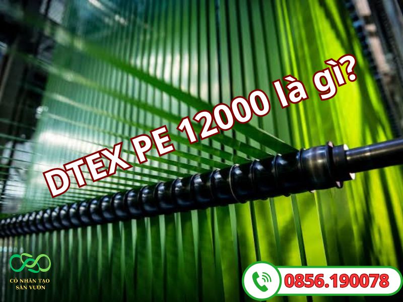 Thế nào là DTEX 12000