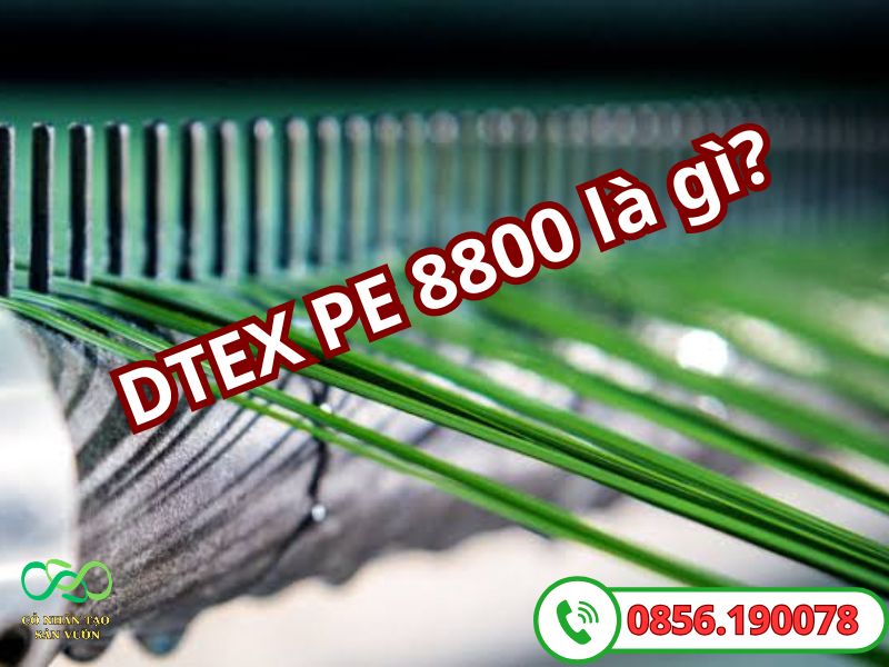 Thế nào là cỏ nhân tạo DTEX 8800