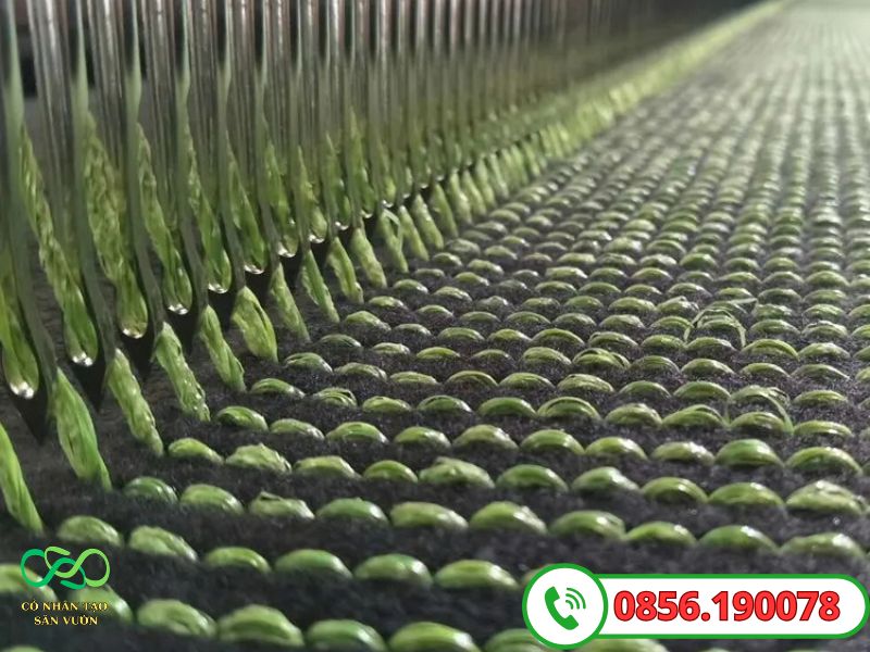 Cách nhận biết DTEX chất lượng sợi cỏ
