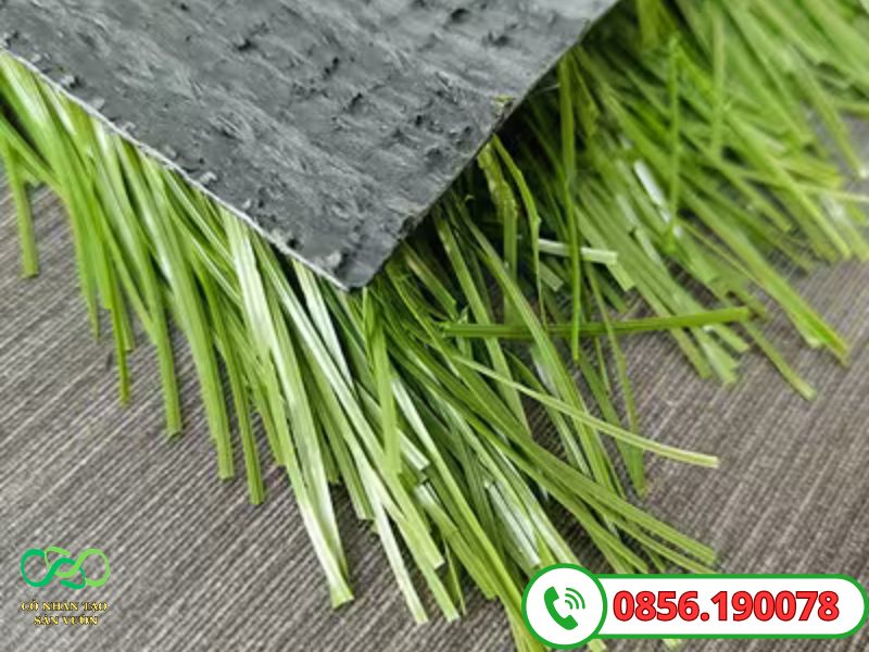 Cỏ chất lượng cao trong PE8000
